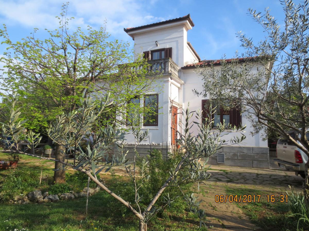 Apartments Vila Marija อิซอลา ภายนอก รูปภาพ